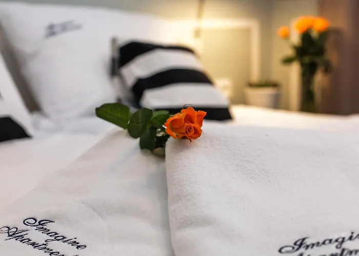 Imagine * 克拉科夫